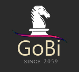 Gobi Hosting